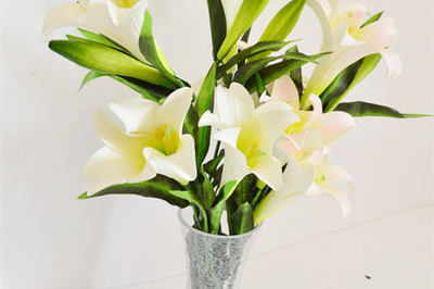 百合清雅，长驻芳华 居家百合插花保鲜与装饰全攻略