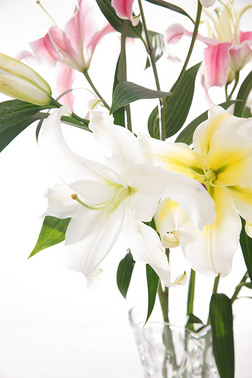 百合花插花艺术 优雅绽放的室内装饰