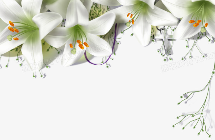 优雅绽放 百合花装饰花边PNG图片素材的魅力与应用