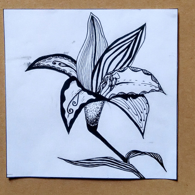 小橙子与鸟儿 一幅融合自然意象的百合装饰插画习作